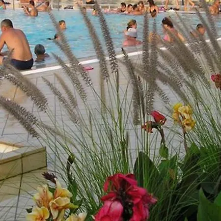 Major * Hajdúszoboszló